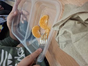 Image from the club gallery Patyczak