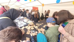 Image from the club gallery STEAM team