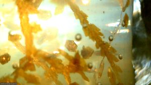 Image from the club gallery Przykład