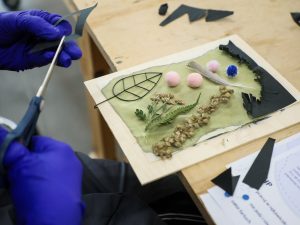 Image from the club gallery Przykład