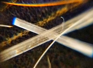 Image from the club gallery Przykład