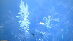 Image from the club gallery Przykład