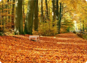 Image from the club gallery qwe